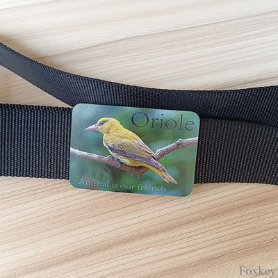 Advertisement Custom Mens Belts Nylon Webbing Belt Full Color Logo Print